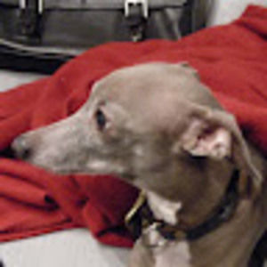 Meet your Posher, Eric